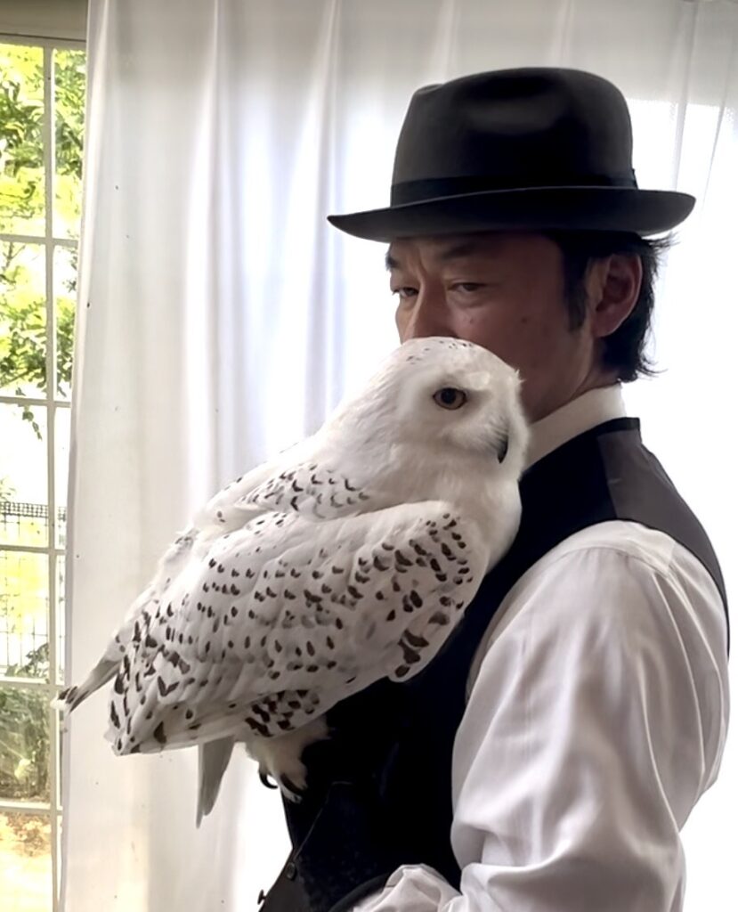 映画に登場するハリーポッターが飼っているフクロウについてご